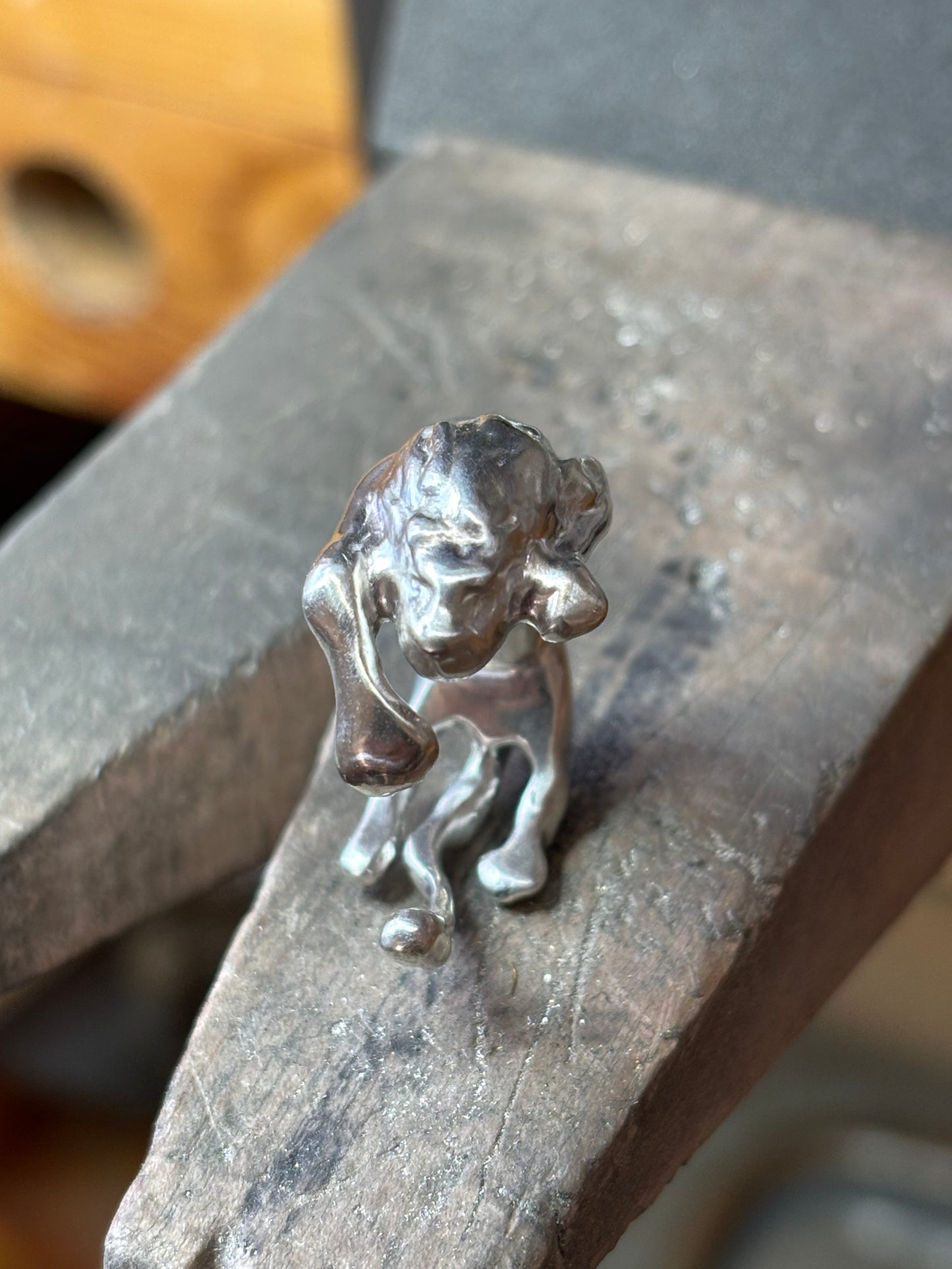 The Lion