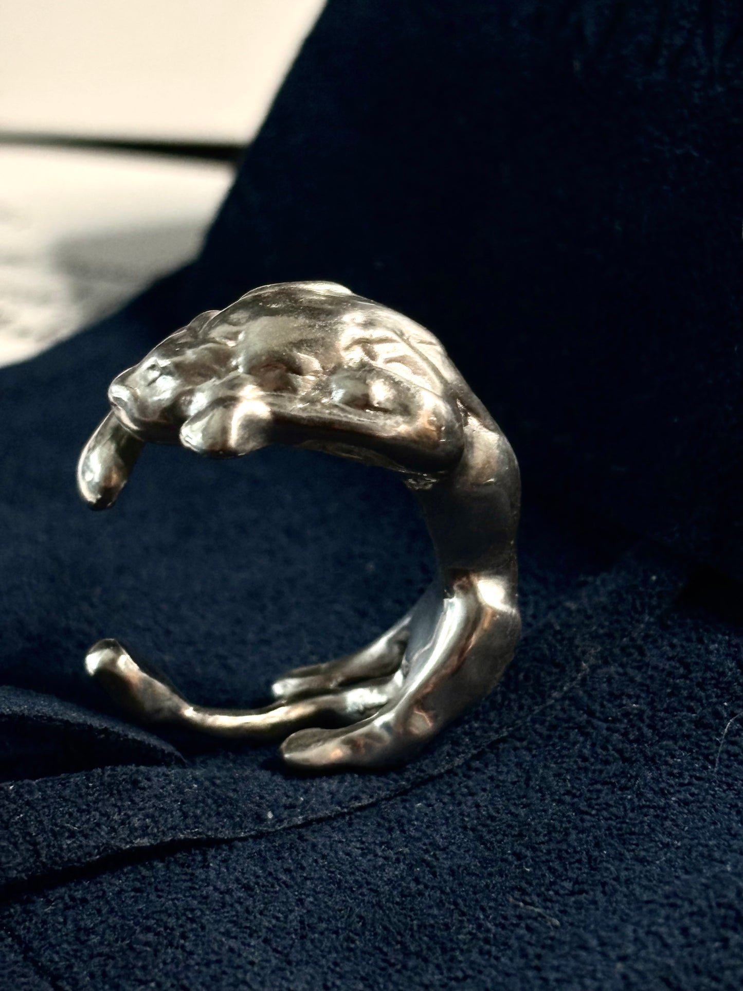 The Lion