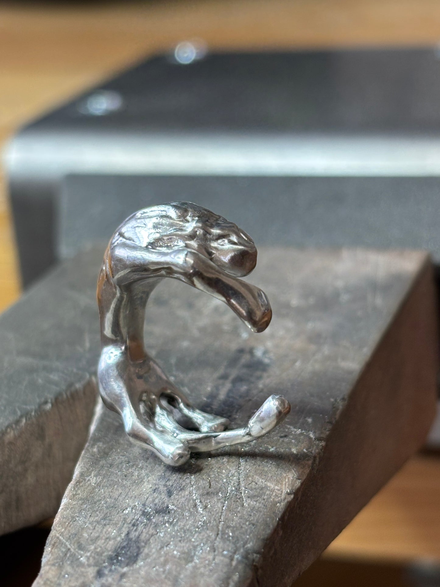 The Lion