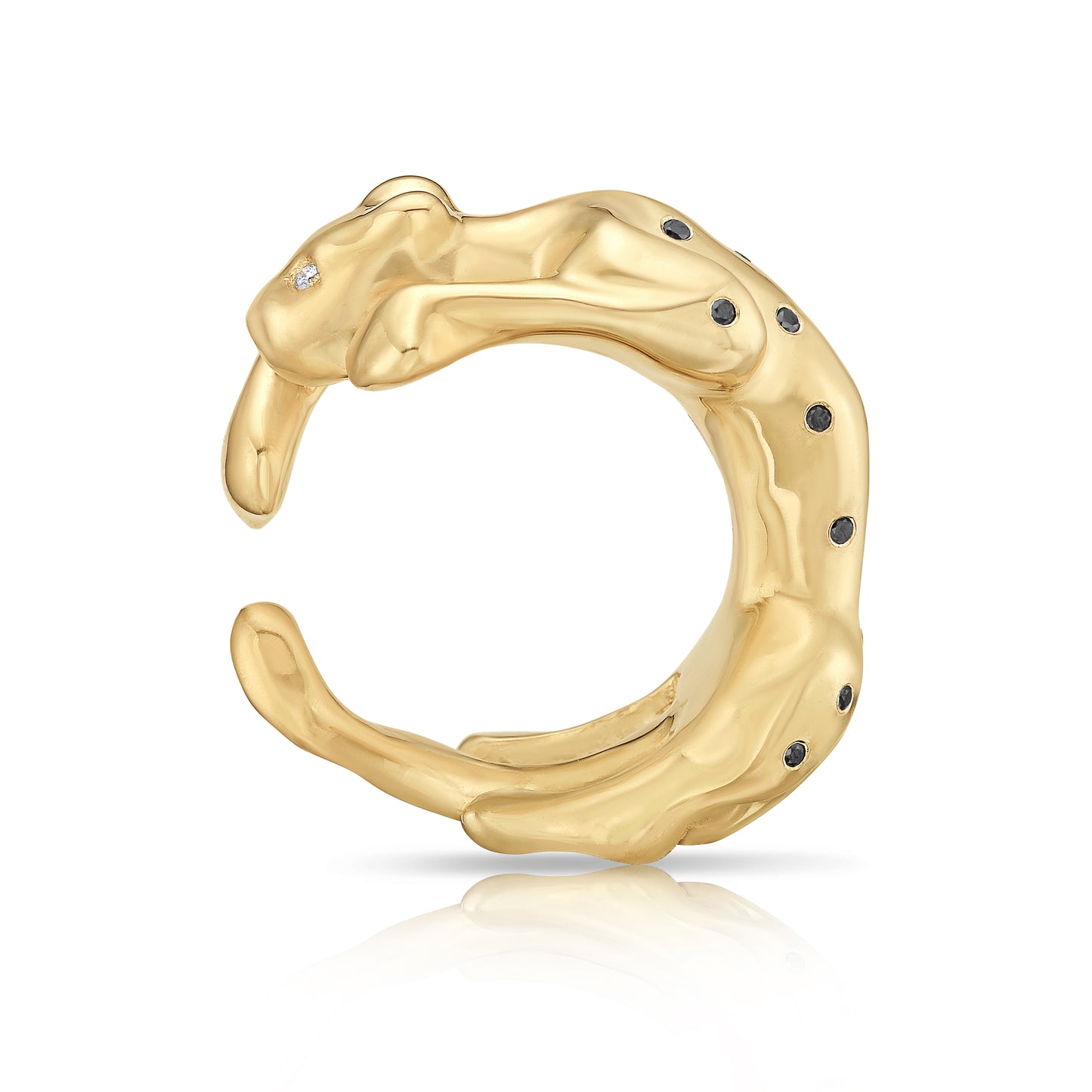 The Leopard II 14K